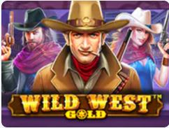 Wild West Goldのパッケージ画面